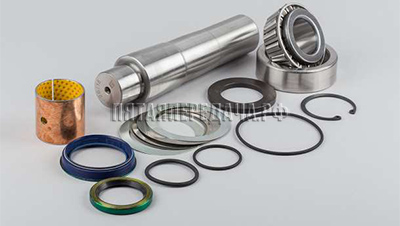 Scania, фото, продукция, фото продукции, фото запчастей, стикер, фото стикера пример, фотография, образец